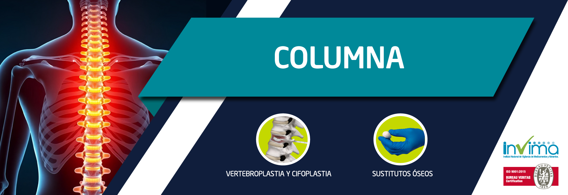 Banner-Línea-Columna