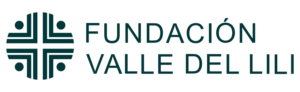 Logo Fundación Valle del Lili-02